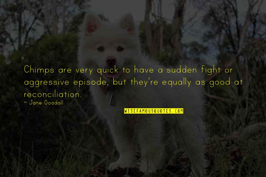 Sudden Quotes By Jane Goodall: Chimps are very quick to have a sudden Sudden Quotes By Jane Goodall: Chimps are very quick to have a sudden