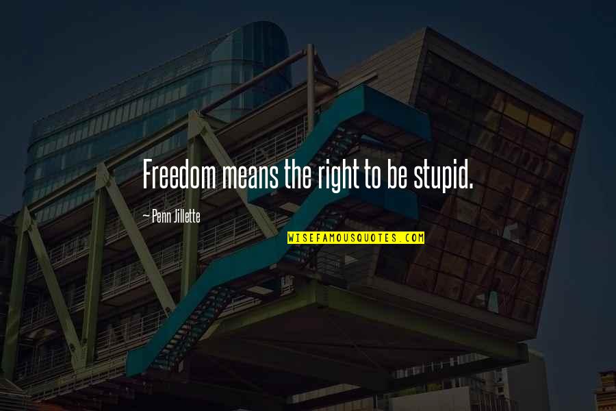 Suddenly And Swiftly Quotes By Penn Jillette: Freedom means the right to be stupid.