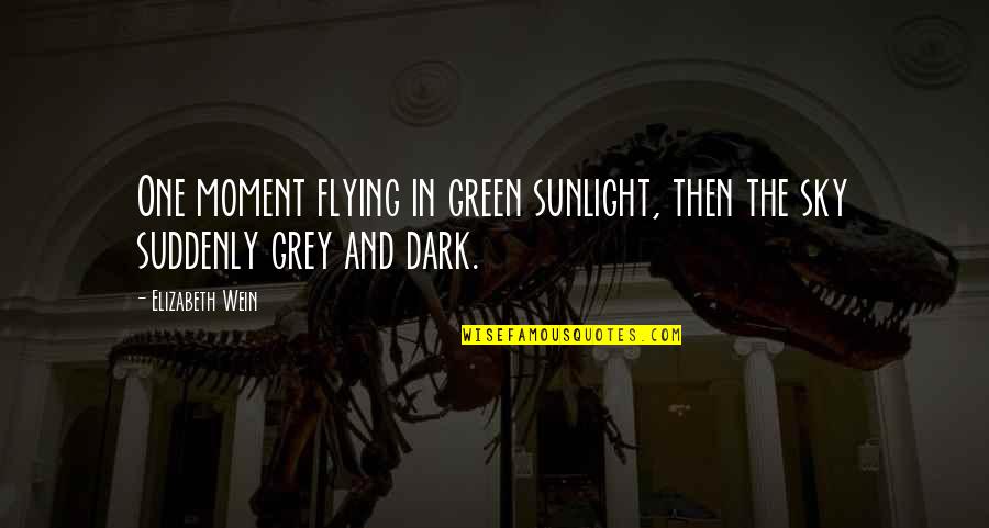 Suddenly Quotes By Elizabeth Wein: One moment flying in green sunlight, then the