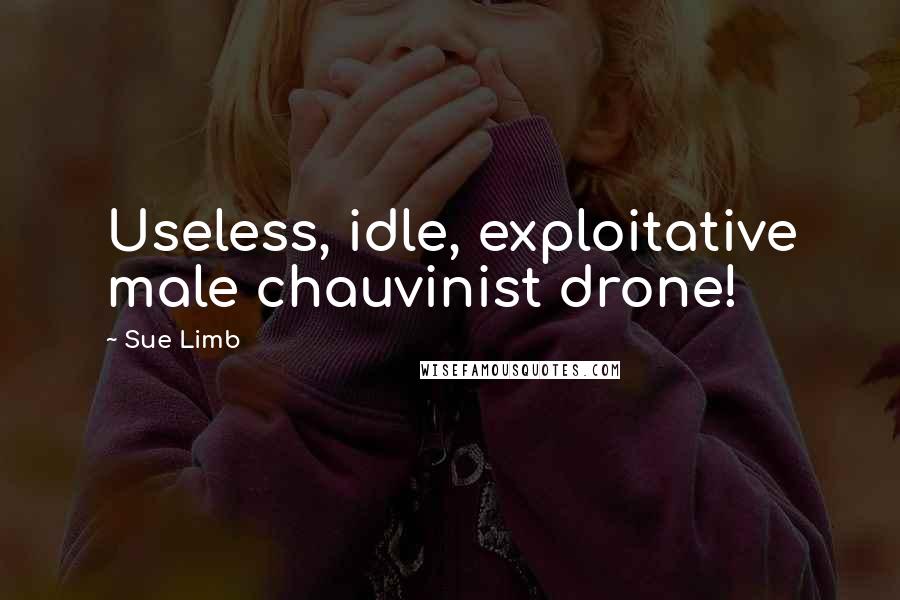 Sue Limb quotes: Useless, idle, exploitative male chauvinist drone!