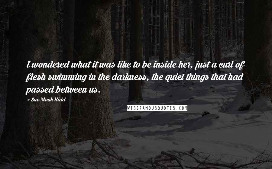 Sue Monk Kidd quotes: I wondered what it was like to be inside her, just a curl of flesh swimming in the darkness, the quiet things that had passed between us.