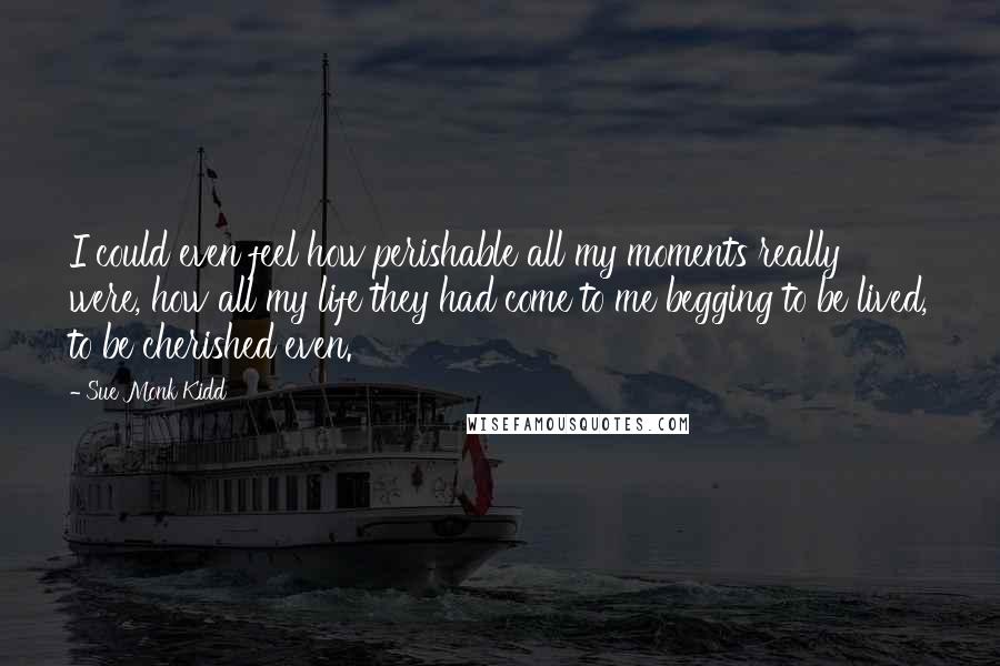 Sue Monk Kidd quotes: I could even feel how perishable all my moments really were, how all my life they had come to me begging to be lived, to be cherished even.