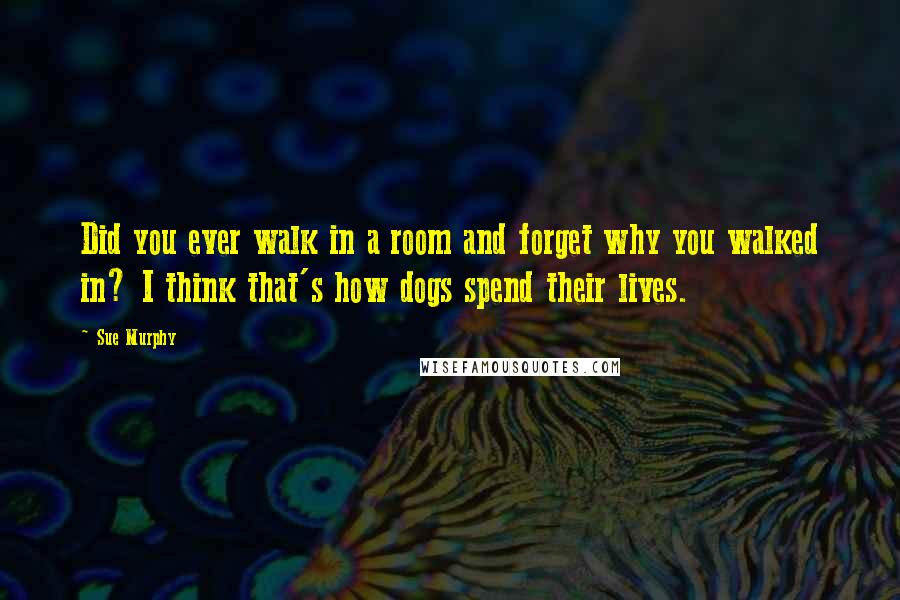 Sue Murphy quotes: Did you ever walk in a room and forget why you walked in? I think that's how dogs spend their lives.