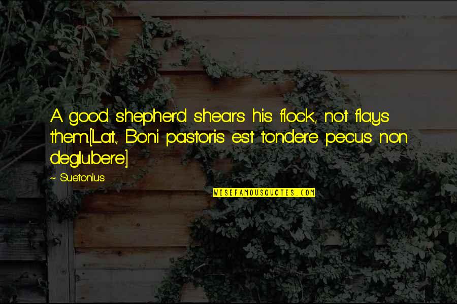 Suetonius's Quotes By Suetonius: A good shepherd shears his flock, not flays Suetonius's Quotes By Suetonius: A good shepherd shears his flock, not flays