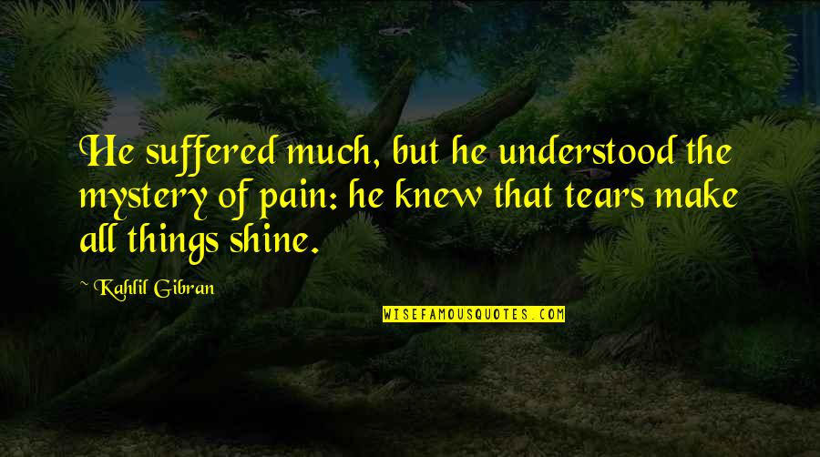Suffered Pain Quotes By Kahlil Gibran: He suffered much, but he understood the mystery