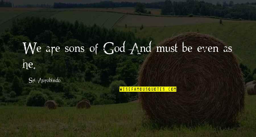 Sufferi Quotes By Sri Aurobindo: We are sons of God And must be