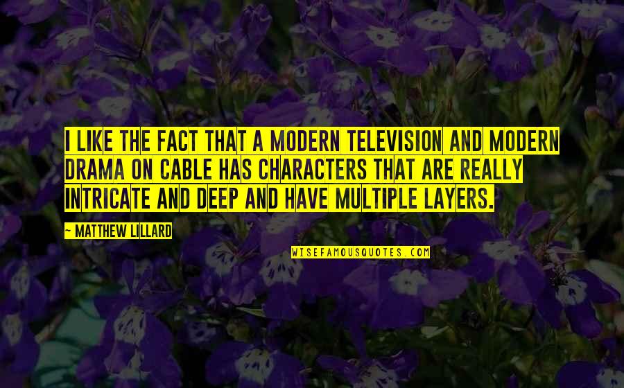 Suffering And Learning Quotes By Matthew Lillard: I like the fact that a modern television