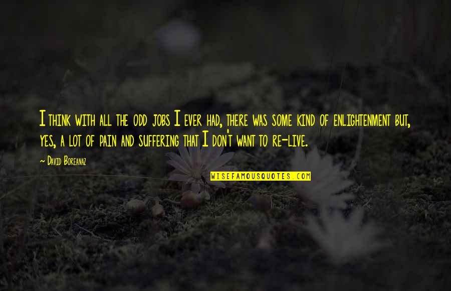 Suffering And Pain Quotes By David Boreanaz: I think with all the odd jobs I Suffering And Pain Quotes By David Boreanaz: I think with all the odd jobs I