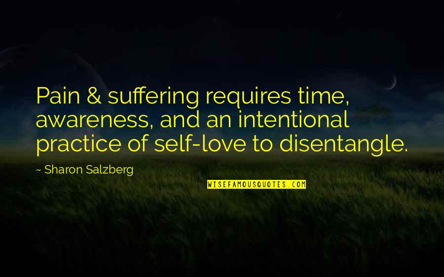 Suffering Buddhism Quotes By Sharon Salzberg: Pain & suffering requires time, awareness, and an