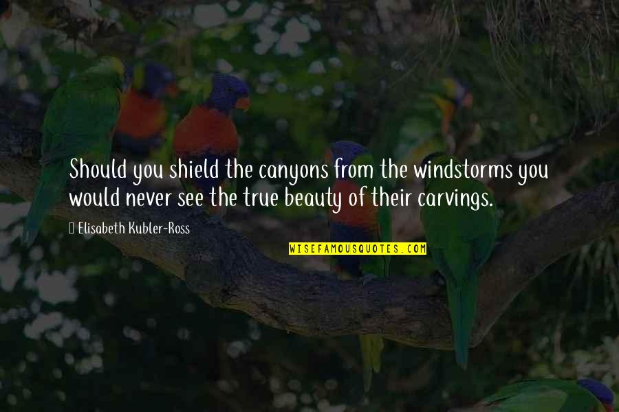 Suffering In Nature Quotes By Elisabeth Kubler-Ross: Should you shield the canyons from the windstorms Suffering In Nature Quotes By Elisabeth Kubler-Ross: Should you shield the canyons from the windstorms