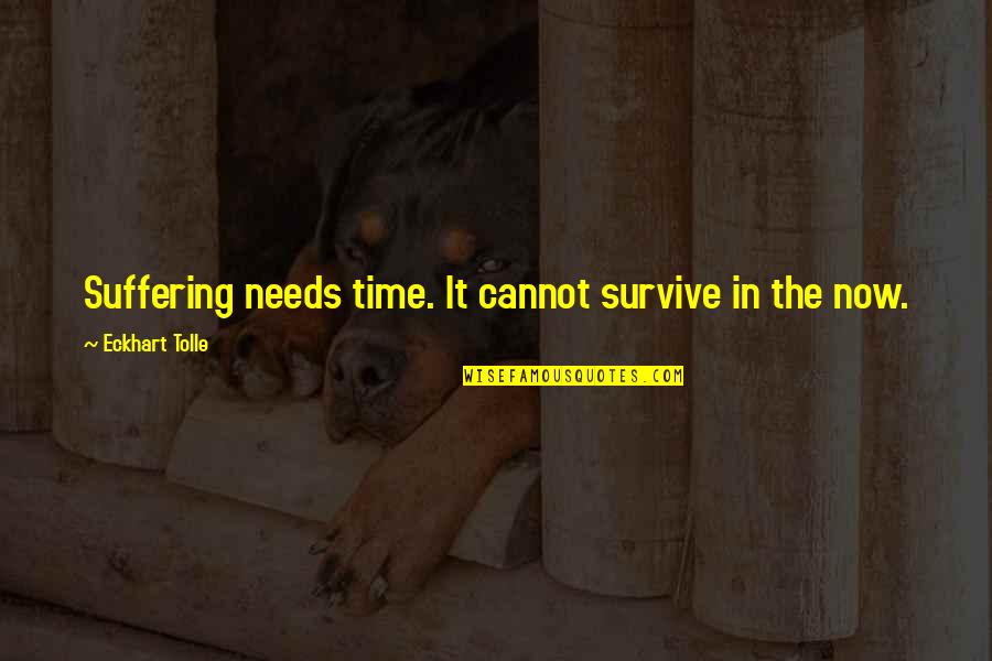 Suffering Now Quotes By Eckhart Tolle: Suffering needs time. It cannot survive in the