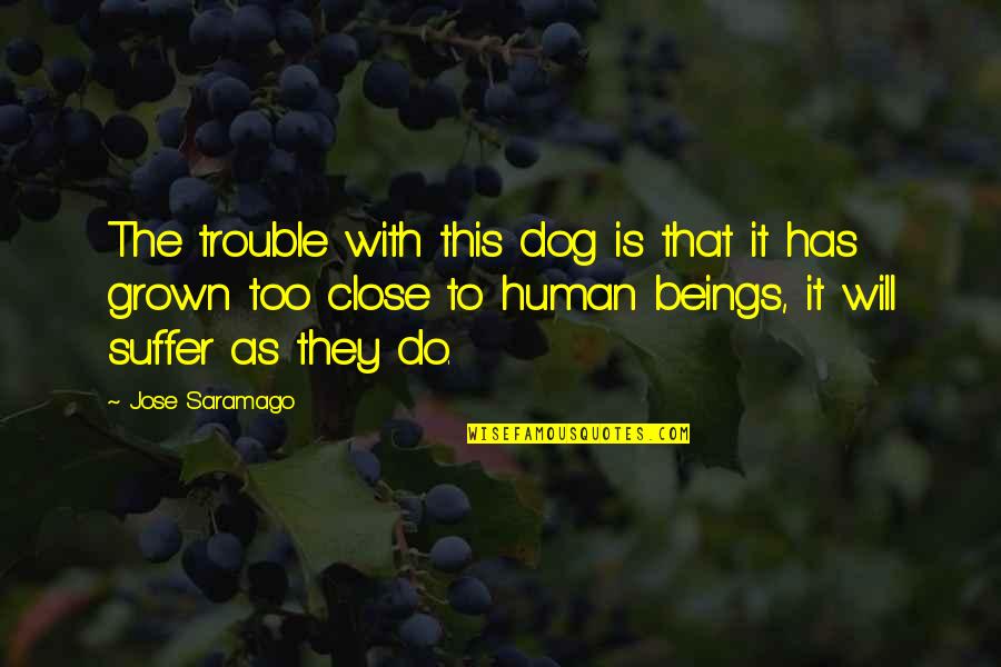 Suffering Of Other Human Beings Quotes By Jose Saramago: The trouble with this dog is that it Suffering Of Other Human Beings Quotes By Jose Saramago: The trouble with this dog is that it