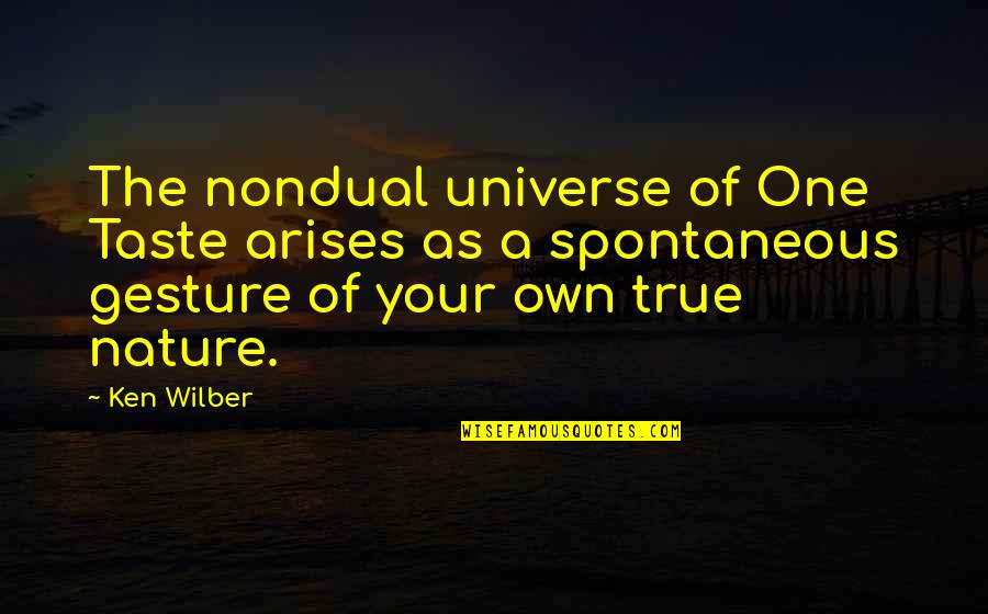 Sufferment Quotes By Ken Wilber: The nondual universe of One Taste arises as