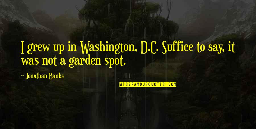 Suffice Quotes By Jonathan Banks: I grew up in Washington, D.C. Suffice to