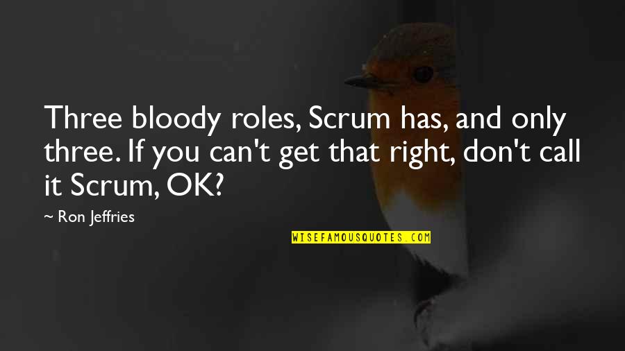 Sufficed Pronounced Quotes By Ron Jeffries: Three bloody roles, Scrum has, and only three. Sufficed Pronounced Quotes By Ron Jeffries: Three bloody roles, Scrum has, and only three.