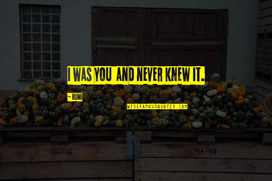 Sufi Quotes By Rumi: I was you and never knew it. Sufi Quotes By Rumi: I was you and never knew it.