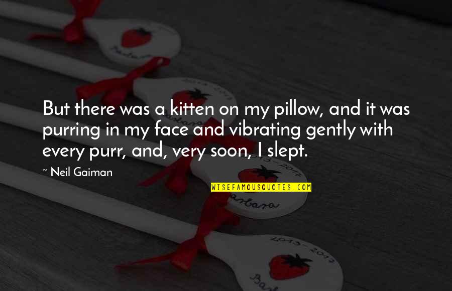 Suficiencia Informatica Quotes By Neil Gaiman: But there was a kitten on my pillow,