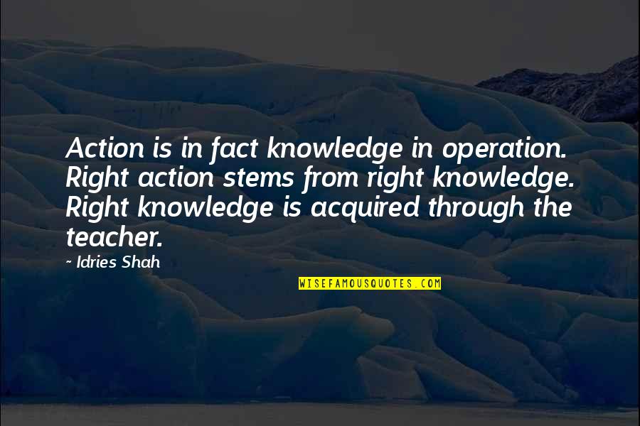 Sufism Wisdom Quotes By Idries Shah: Action is in fact knowledge in operation. Right Sufism Wisdom Quotes By Idries Shah: Action is in fact knowledge in operation. Right