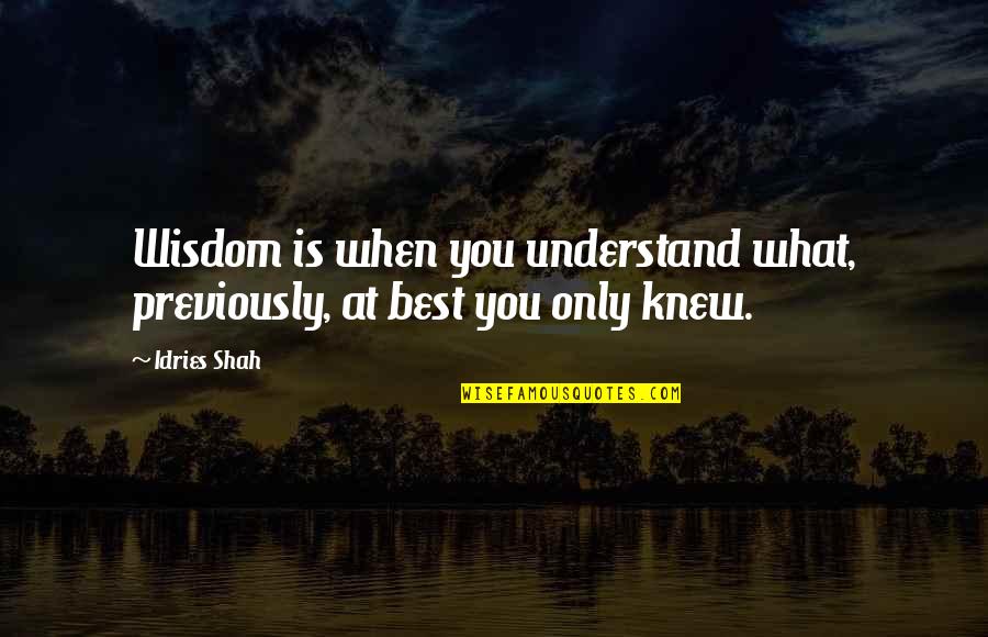 Sufism's Quotes By Idries Shah: Wisdom is when you understand what, previously, at