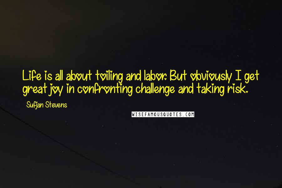 Sufjan Stevens quotes: Life is all about toiling and labor. But obviously I get great joy in confronting challenge and taking risk.