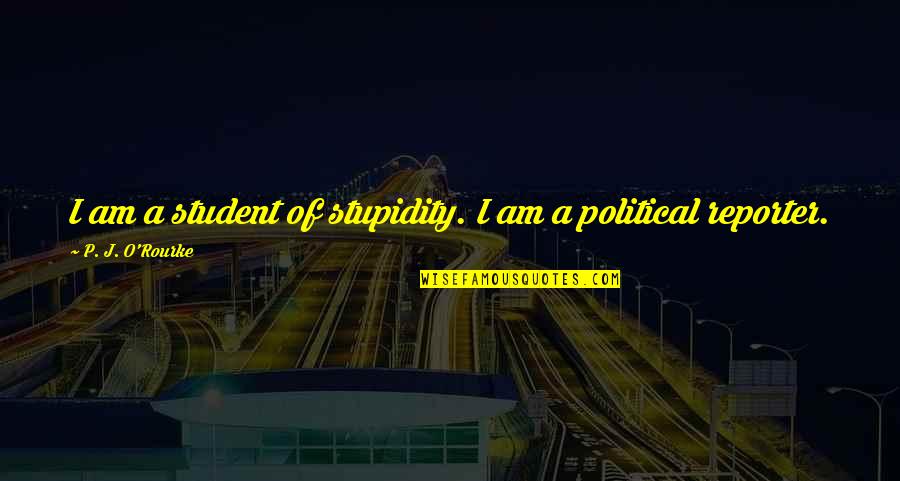 Sugar Boy Quotes By P. J. O'Rourke: I am a student of stupidity. I am