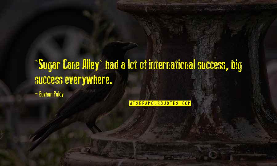 Sugar Cane Quotes By Euzhan Palcy: 'Sugar Cane Alley' had a lot of international