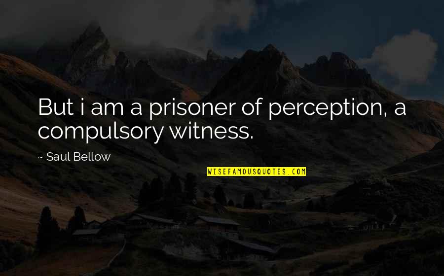 Sugar N Spice Quotes By Saul Bellow: But i am a prisoner of perception, a