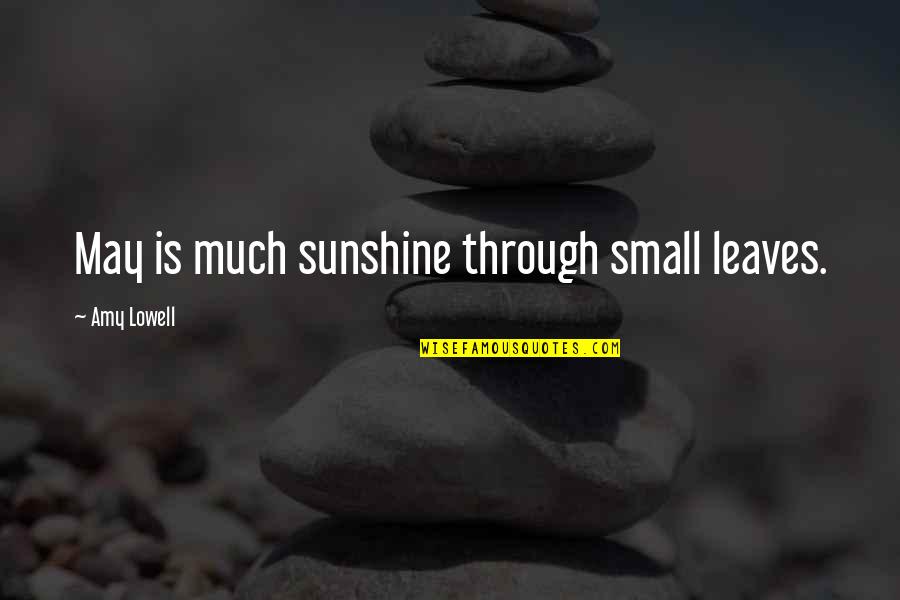 Sugaring Quotes By Amy Lowell: May is much sunshine through small leaves.