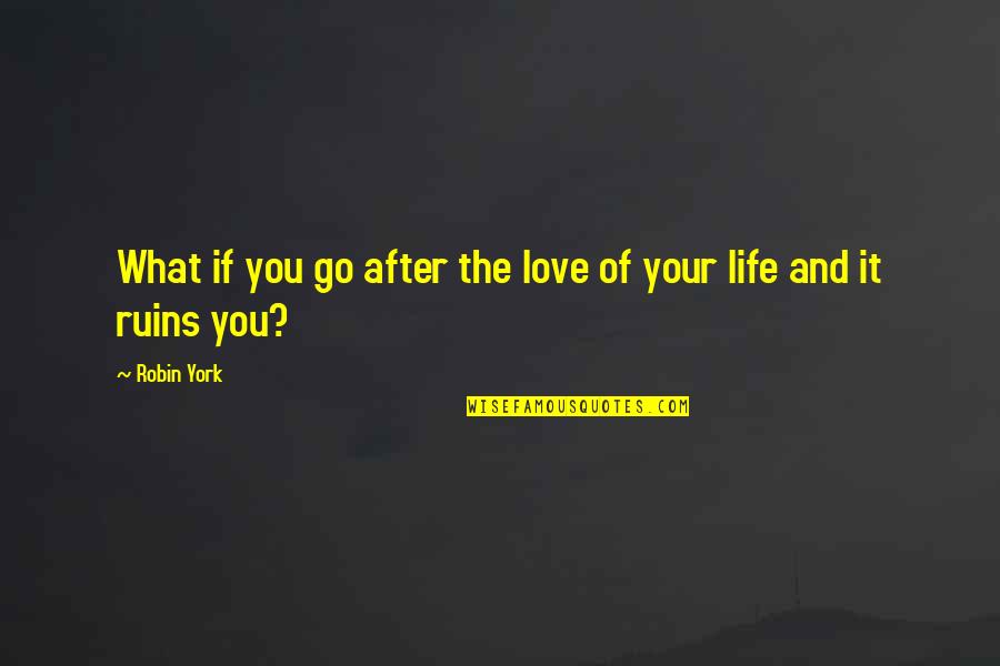 Sugarmonkey 35 Quotes By Robin York: What if you go after the love of