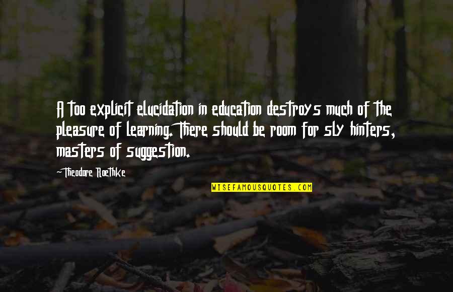 Suggestion Quotes By Theodore Roethke: A too explicit elucidation in education destroys much