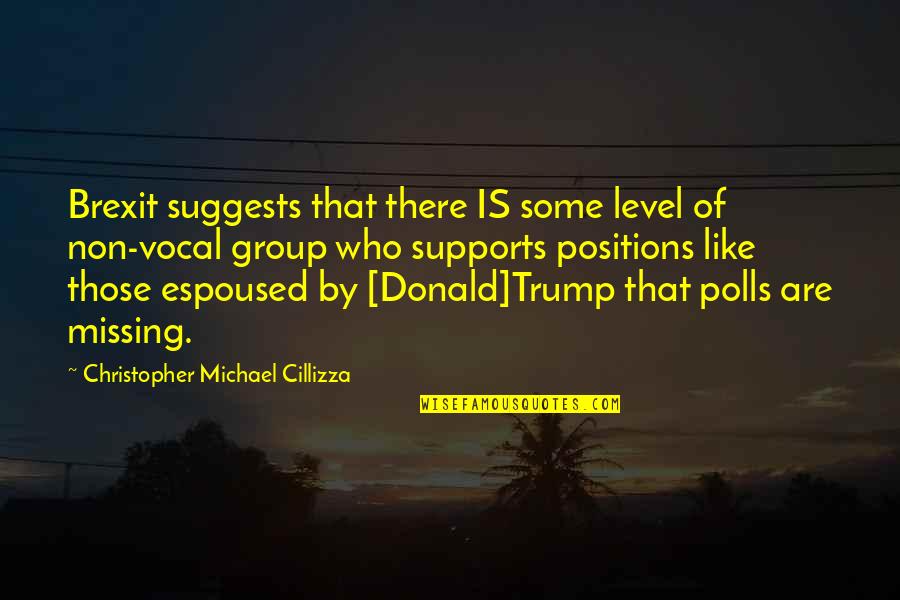 Suggests Quotes By Christopher Michael Cillizza: Brexit suggests that there IS some level of