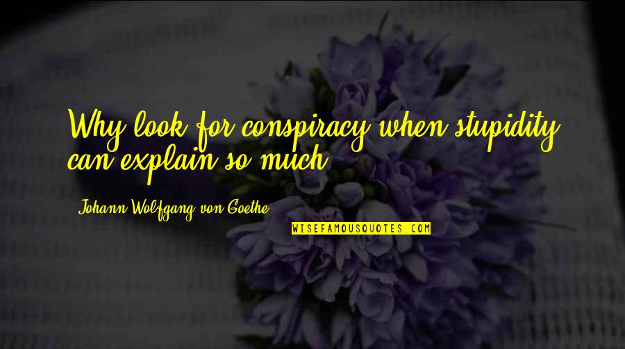 Suharto Quotes By Johann Wolfgang Von Goethe: Why look for conspiracy when stupidity can explain