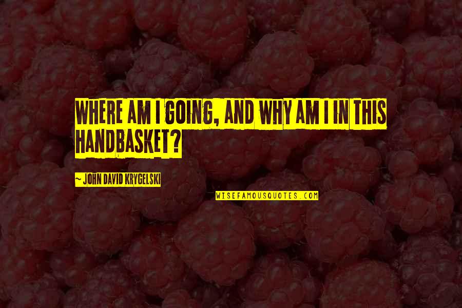 Suicidal Teens Quotes By John David Krygelski: Where am I going, and why am I Suicidal Teens Quotes By John David Krygelski: Where am I going, and why am I