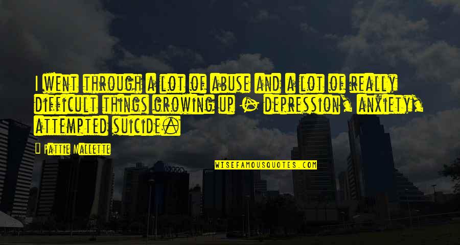 Suicide And Depression Quotes By Pattie Mallette: I went through a lot of abuse and