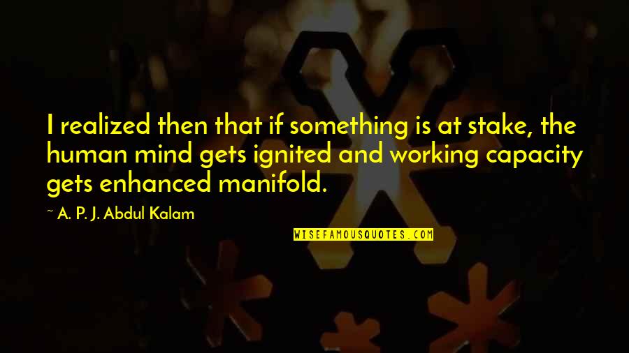 Suicide Squad 2 Quotes By A. P. J. Abdul Kalam: I realized then that if something is at Suicide Squad 2 Quotes By A. P. J. Abdul Kalam: I realized then that if something is at
