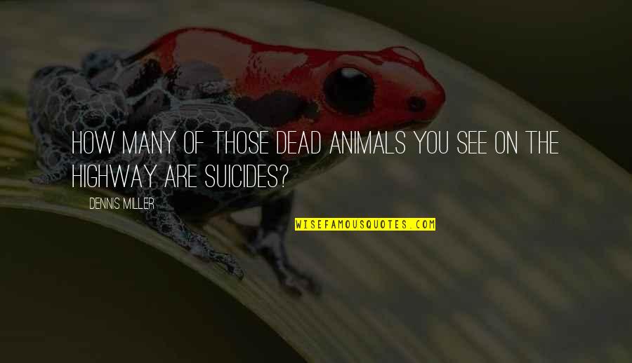 Suicides Quotes By Dennis Miller: How many of those dead animals you see