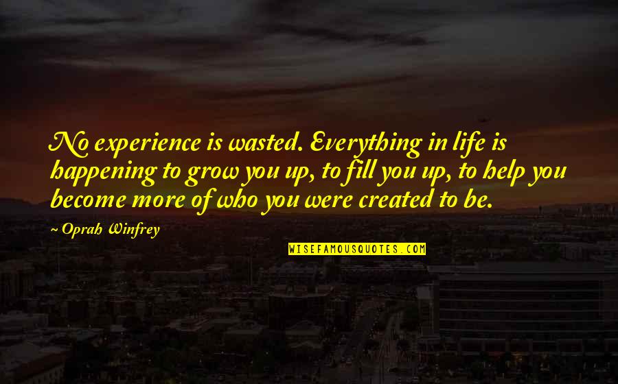 Suiffy Quotes By Oprah Winfrey: No experience is wasted. Everything in life is