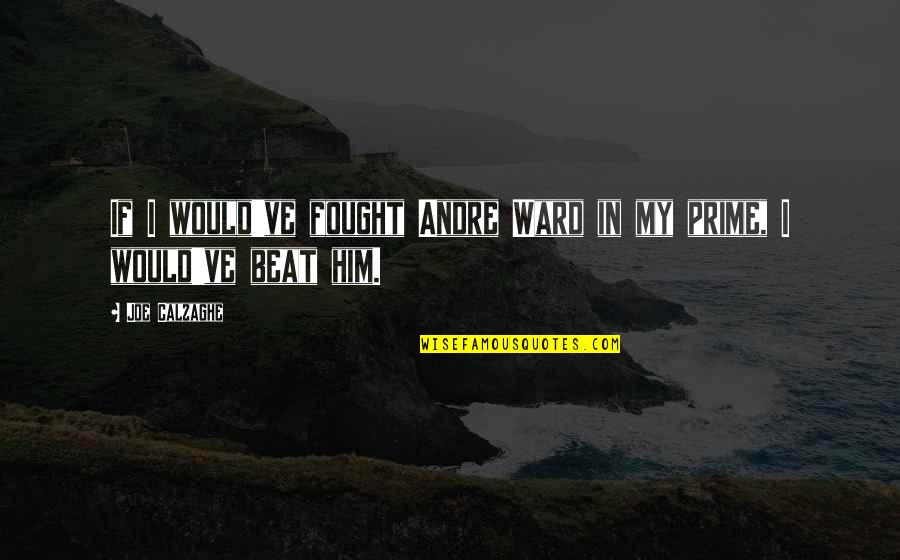 Suitable For Tattoos Quotes By Joe Calzaghe: If I would've fought Andre Ward in my