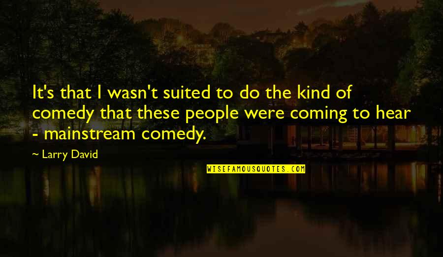 Suited Quotes By Larry David: It's that I wasn't suited to do the