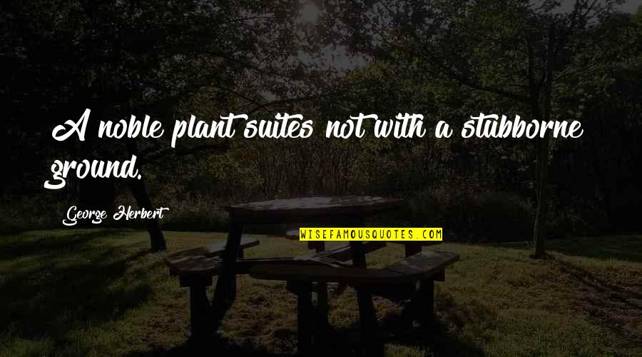 Suites Quotes By George Herbert: A noble plant suites not with a stubborne