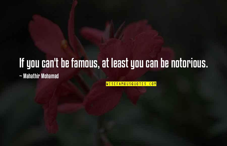 Suiza Dairy Quotes By Mahathir Mohamad: If you can't be famous, at least you