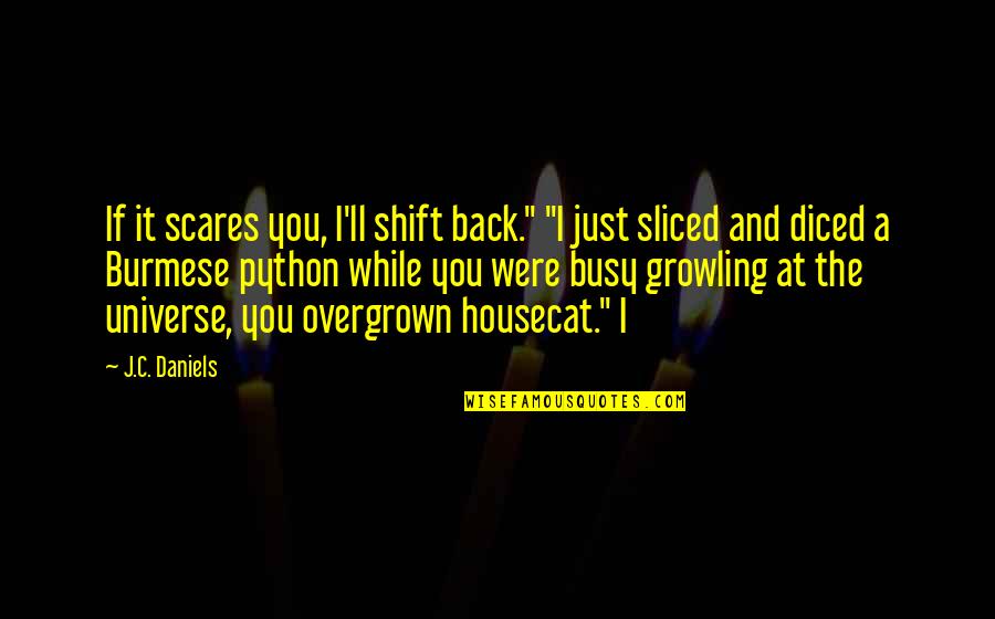 Sukacita In English Quotes By J.C. Daniels: If it scares you, I'll shift back." "I