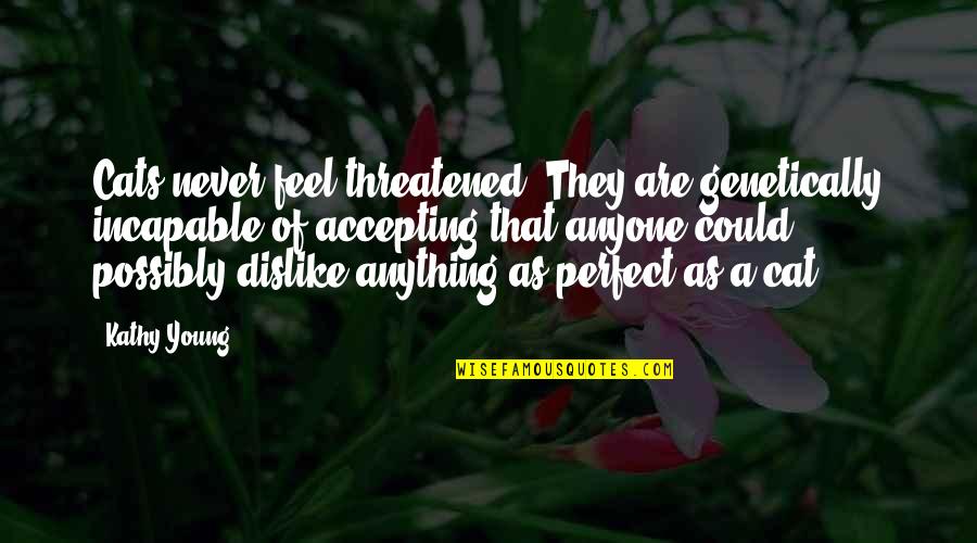 Sukalamea Quotes By Kathy Young: Cats never feel threatened. They are genetically incapable Sukalamea Quotes By Kathy Young: Cats never feel threatened. They are genetically incapable