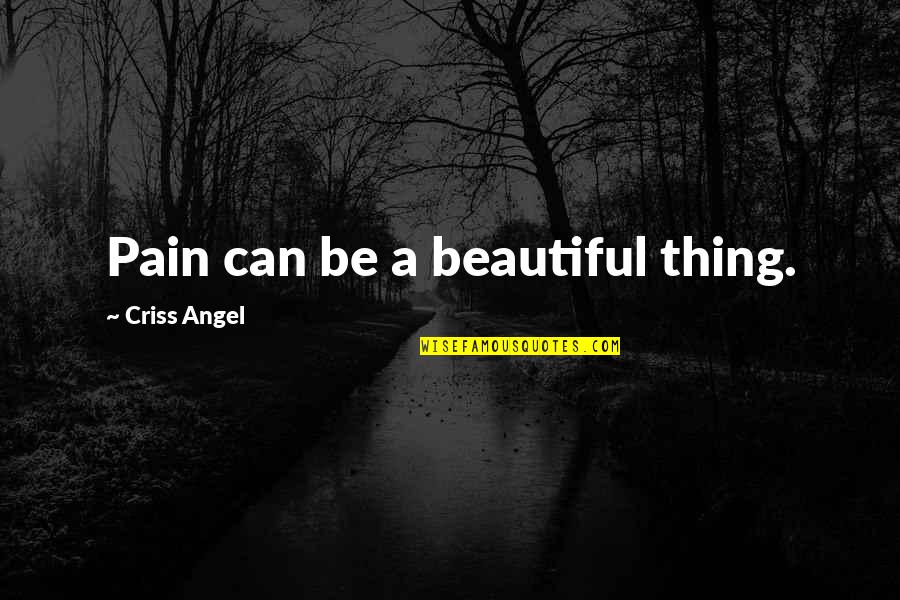 Sukanto Quotes By Criss Angel: Pain can be a beautiful thing. Sukanto Quotes By Criss Angel: Pain can be a beautiful thing.