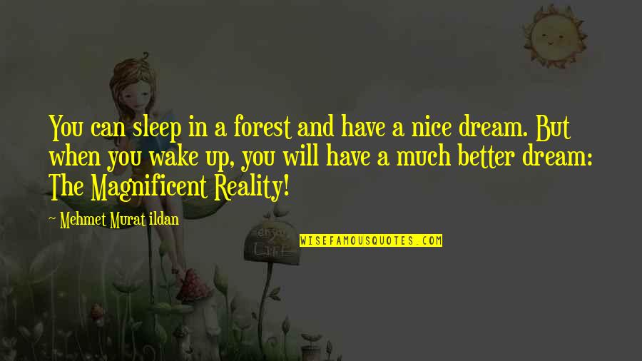 Sukhomlynsky Quotes By Mehmet Murat Ildan: You can sleep in a forest and have