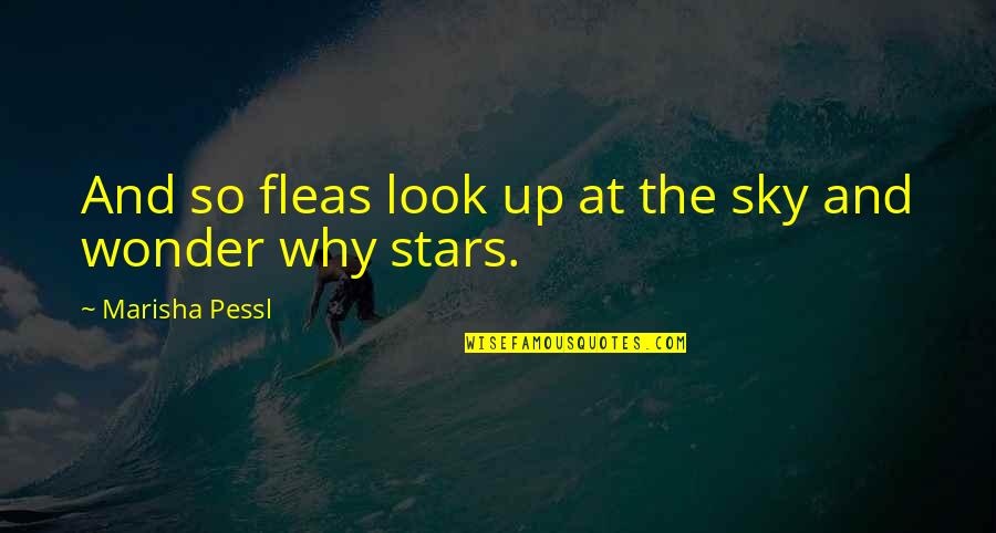 Sukhvinder Kang Quotes By Marisha Pessl: And so fleas look up at the sky Sukhvinder Kang Quotes By Marisha Pessl: And so fleas look up at the sky