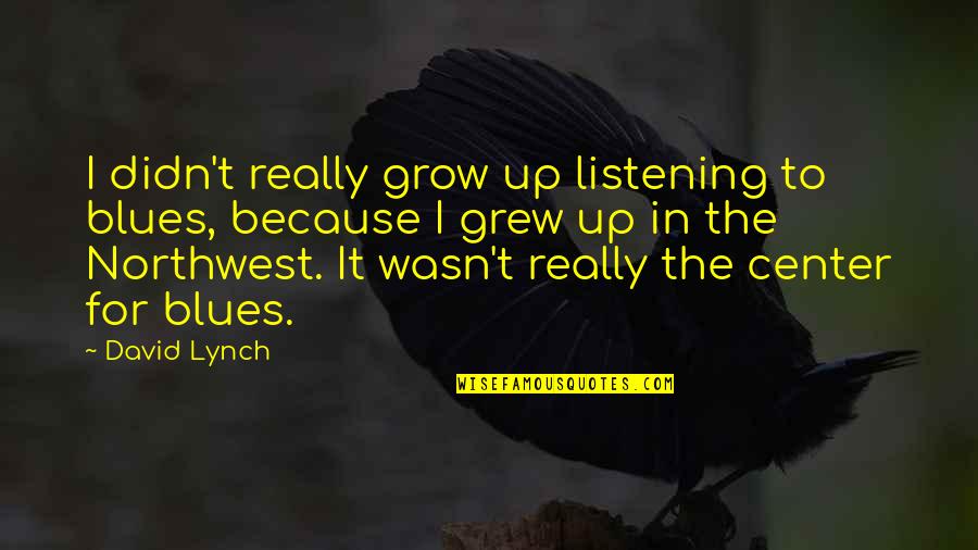 Sukitte Ii Na Yo Mei Quotes By David Lynch: I didn't really grow up listening to blues, Sukitte Ii Na Yo Mei Quotes By David Lynch: I didn't really grow up listening to blues,