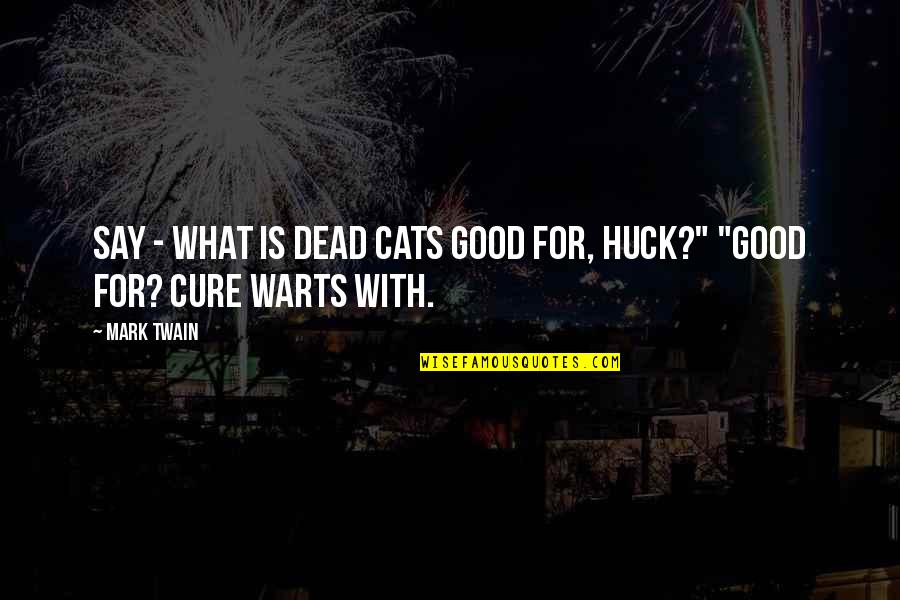 Sukmaku Berteriak Quotes By Mark Twain: Say - what is dead cats good for,