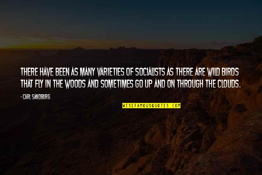 Sulfanilamide Disaster Quotes By Carl Sandburg: There have been as many varieties of socialists