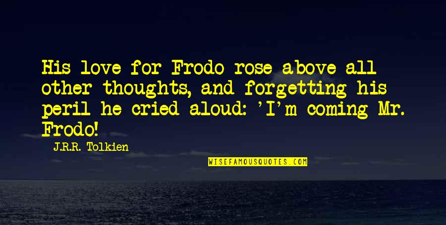Sulfate Of Potash Quotes By J.R.R. Tolkien: His love for Frodo rose above all other Sulfate Of Potash Quotes By J.R.R. Tolkien: His love for Frodo rose above all other